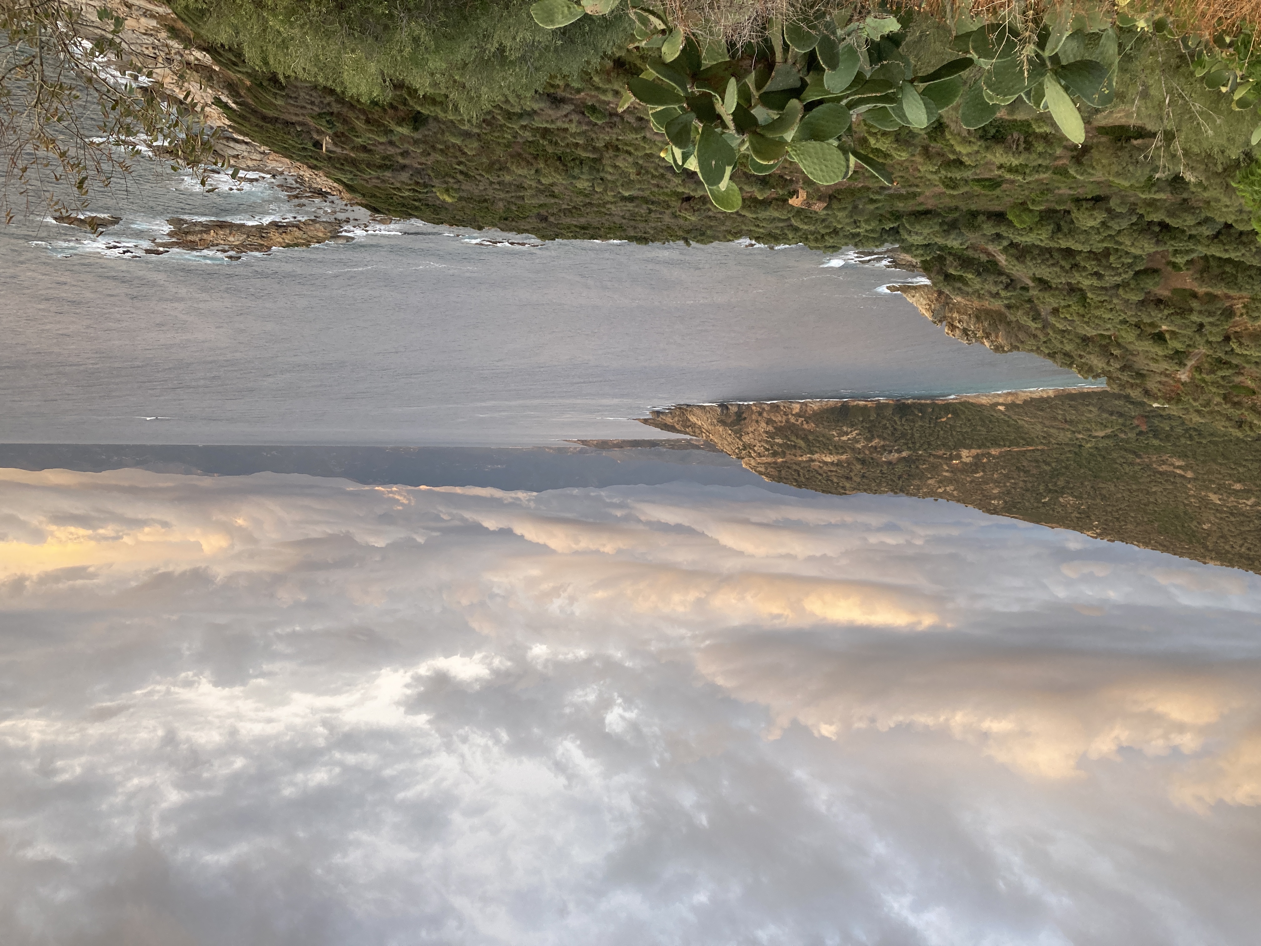 Coastline near Cargese.